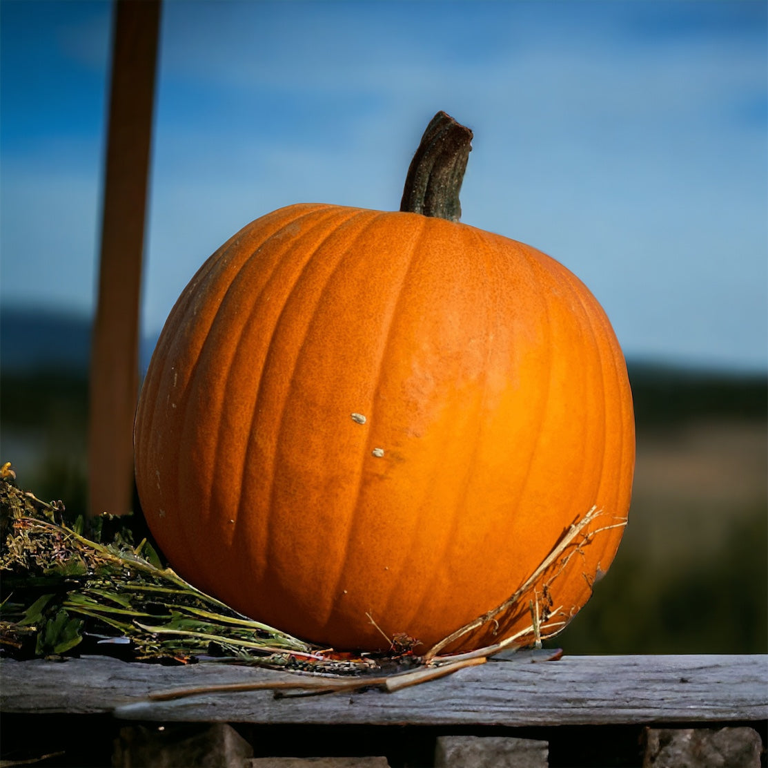 Pumpkin Spice product displayed on a rustic wooden surface